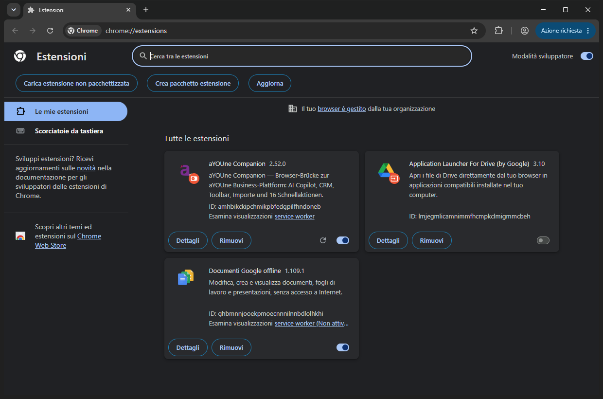 La pagina delle estensioni con la scheda „aYOUne Companion" caricata